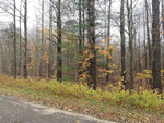 SOLD - Lakes of the North, MI | .5 Acres Affordable, Buildable and Year Round Adventures!