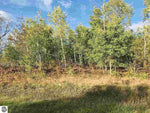 SOLD - Lakes of the North, MI | .5 Acres Affordable, Buildable and Year Round Adventures!
