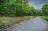 SOLD - McMinn County TN | 0.92 Acres Buildable With Power, Water, Paved Road!