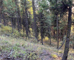 SOLD | Cascade Idaho | 1.63 Acres with Perc Test!