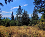 SOLD | Orofino Idaho | 29.8acres Year Round Spring and Views of Dworshak