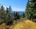 SOLD | Orofino Idaho | 29.8acres Year Round Spring and Views of Dworshak